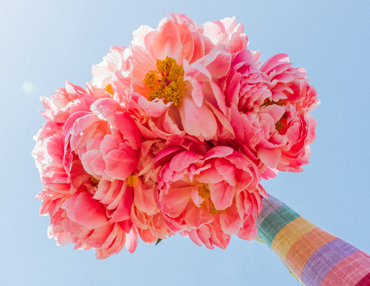 Feature Flower Friday: PEONY
