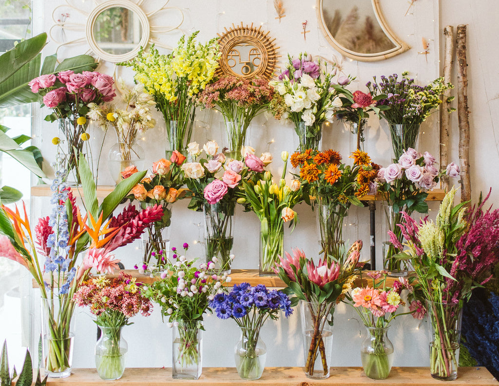 What's in the Vase?