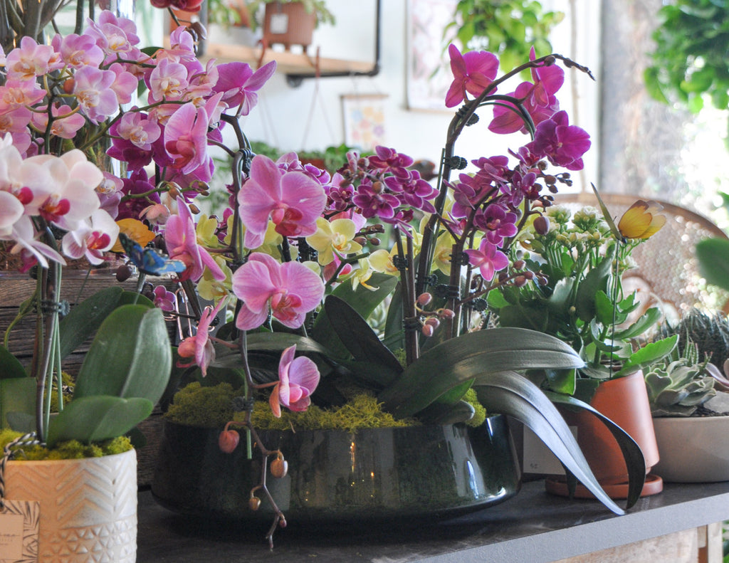 So Much More Than Bouquets for Mom