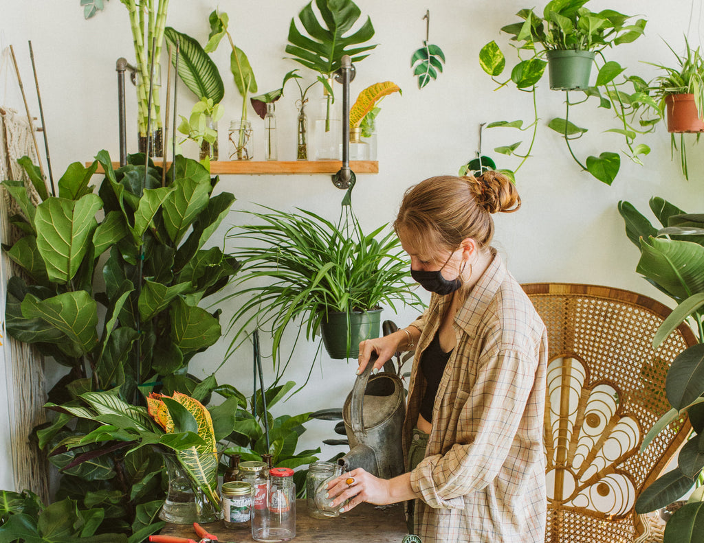 Our Fav Way to Reuse Glass Containers: Propagation Station!