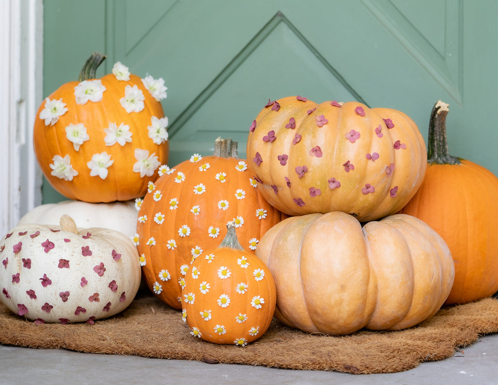 Cute + Easy Fall Porch Decor