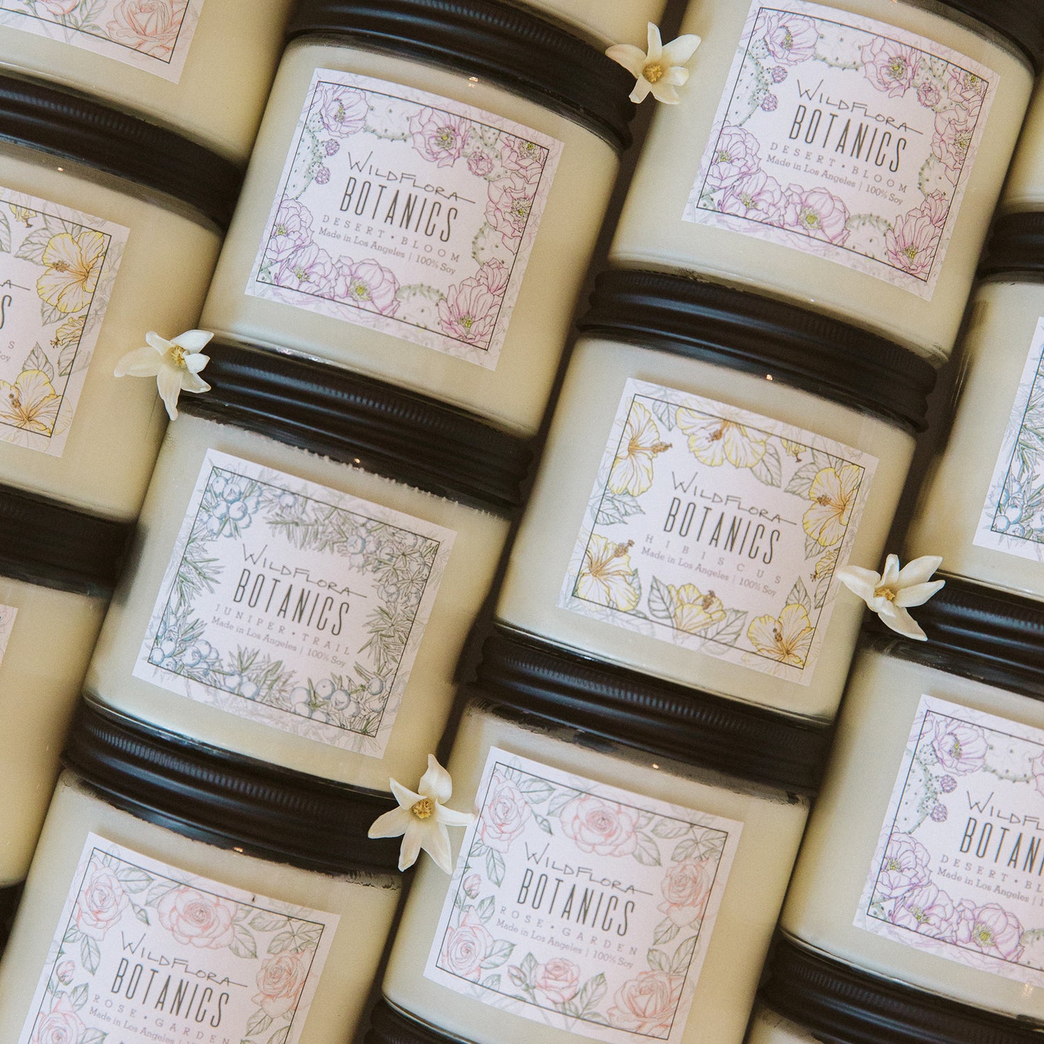Row of candles with 'Wildeara Botanics' labels and small white flowers on top.