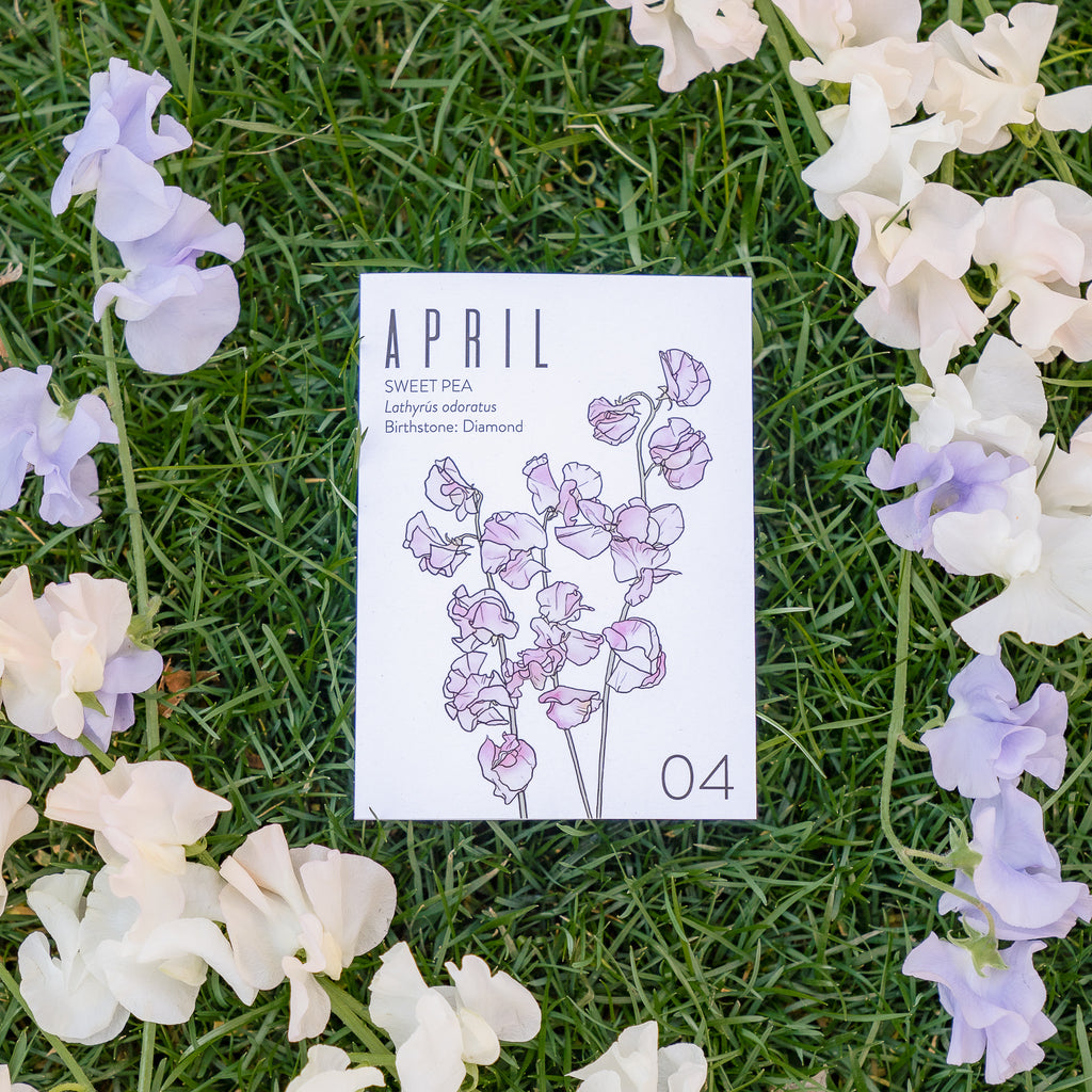 Greeting Card: April Birth Month Flower