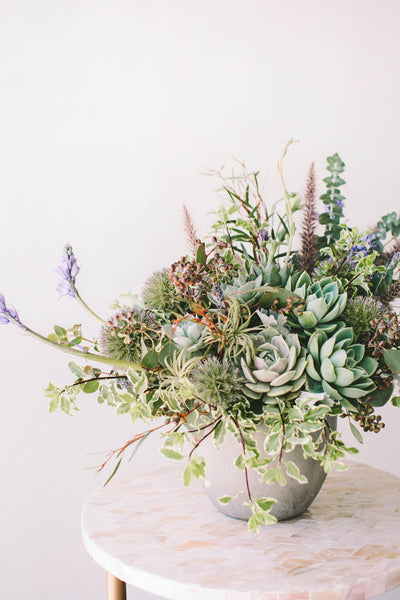 wild interiors succulents Succulent Shebang – WildFlora