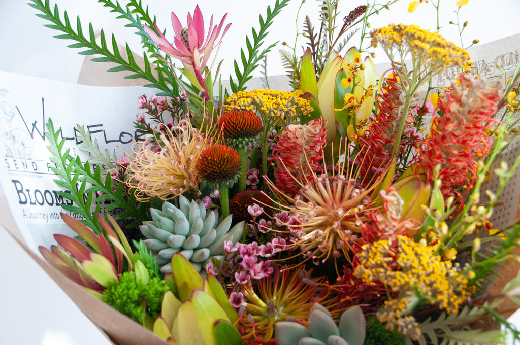 closeup of a bouquet wrapped in floral newspaper and brown kraft paper in front of a white backdrop. It's filled with yellow, red, and orange flowers, including pincushion protea, grevillea, succulents, leucantha, oncidium orchid, and thistle.