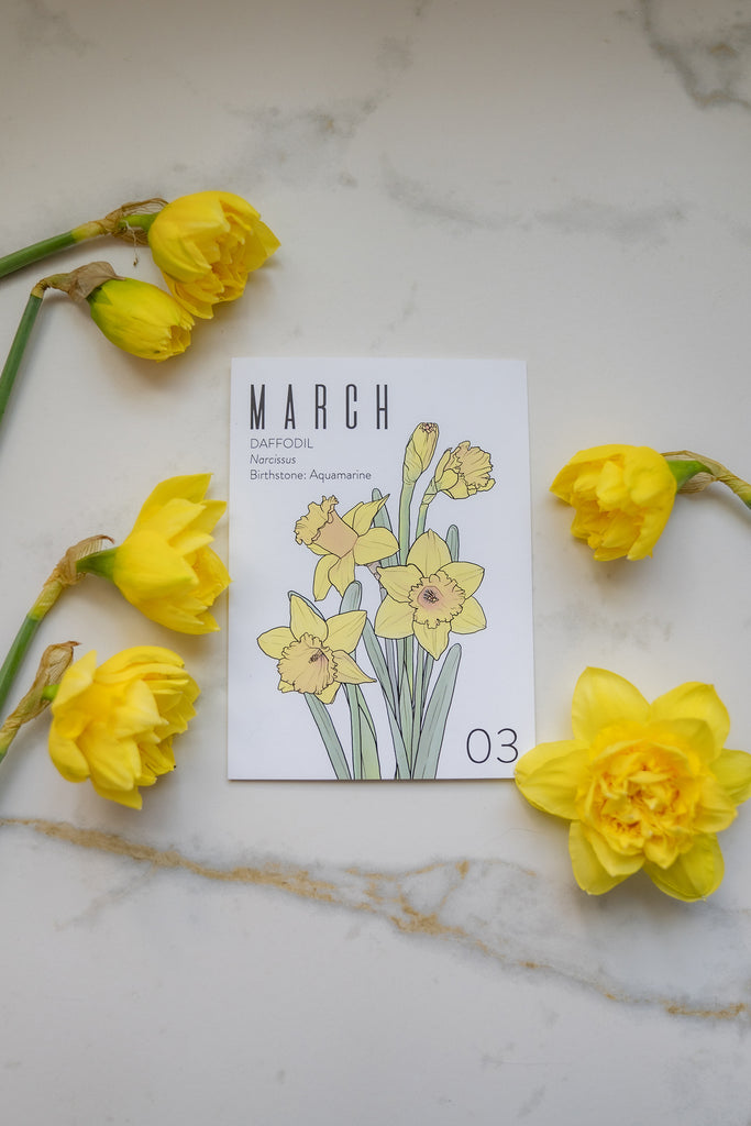 Yellow daffodil flowers and a card with 'March' text on a marble surface