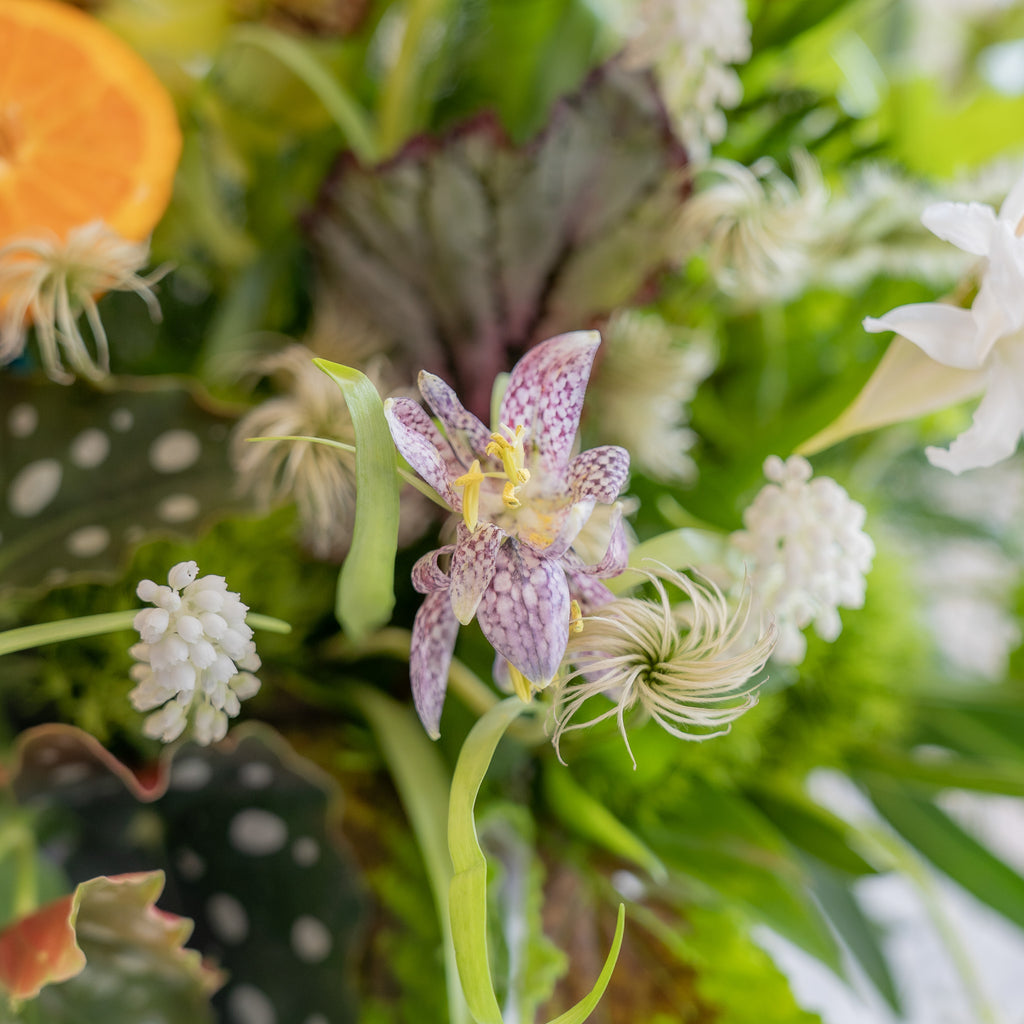 close-up of a fritillaria and clematis flower in a forest floor arrangement.