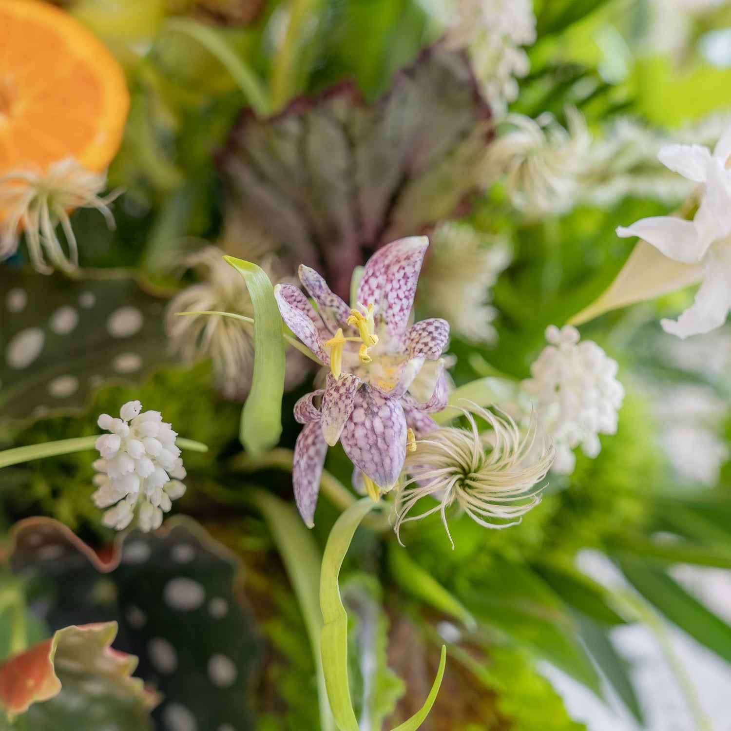 close-up of a fritillaria and clematis flower in a forest floor arrangement.