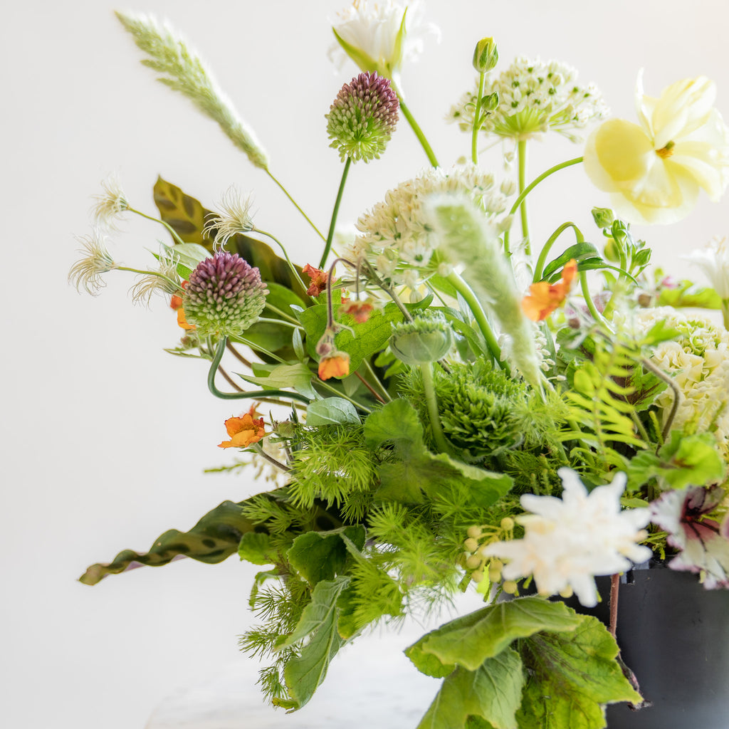 close-up of A flower arrangement in a matte black vase in front of a white backdrop on a marble table. It's filled with orange, white, purple, but mostly green and and chartreuse-colored flowers and foliage, including sword fern, fritillaria, alium, pitcher plant, anemone, ornamental grass, calathea peacock plant, clematis, and heuchera. The vibes are very Hobbiton.