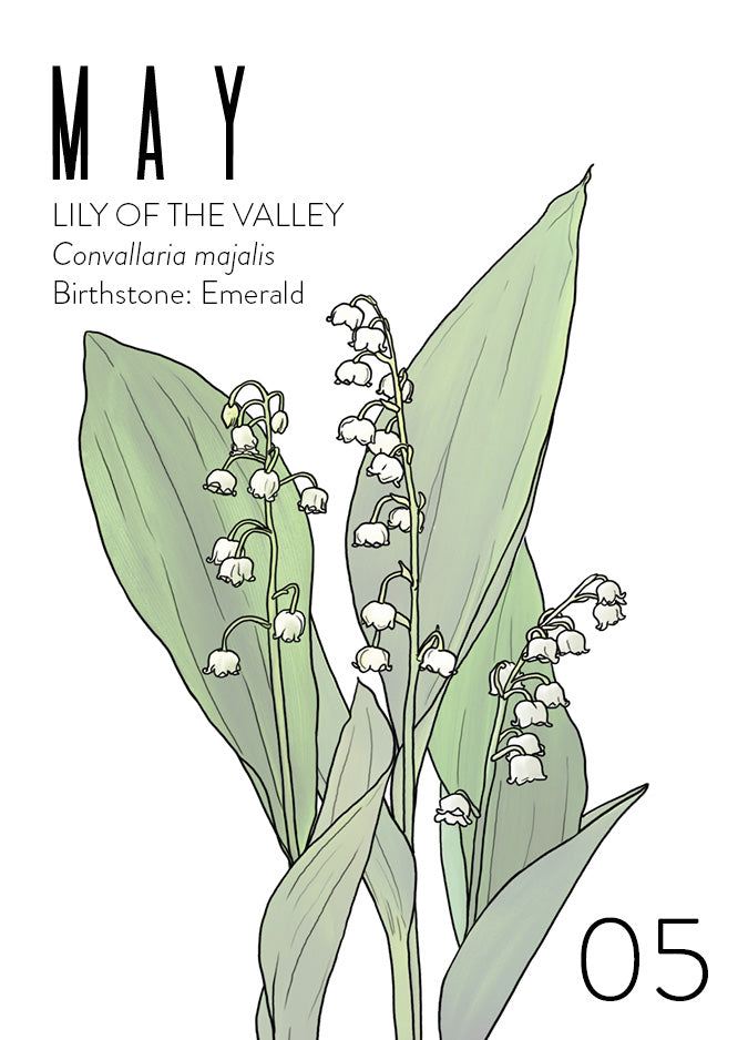 An May birth month card that has artwork of lily of the valley flowers on it and also lists the birth month gemstone.
