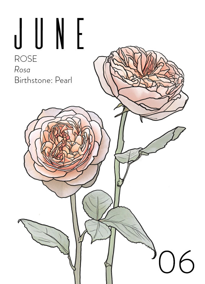 An June birth month card that has artwork of garden roses on it and also lists the birth month gemstone.