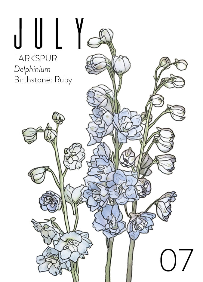 A July birth month card that has artwork of delphinium on it and also lists the birth month gemstone.