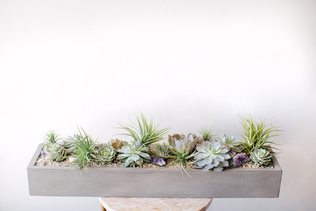 a long, grey concrete rectangular planter with succulents and air plants in it sits on a table in front of a white backdrop. There's also a purple amethyst crystal in the planter.