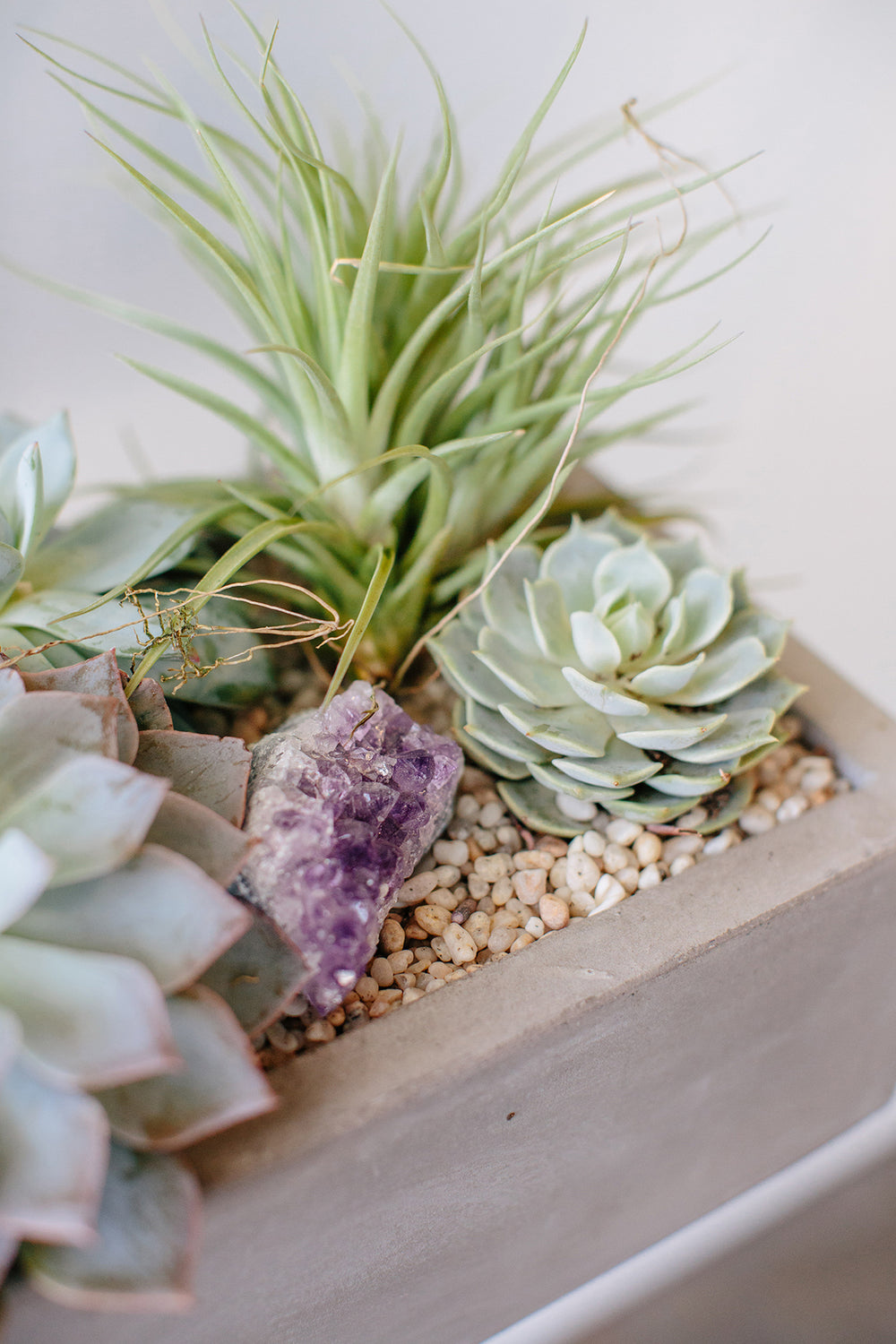 Closeup of a long, grey concrete rectangular planter with succulents and air plants in it. There's also a purple amethyst crystal in the planter.