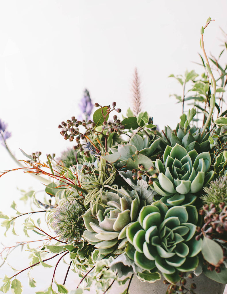 close-up of A flower arrangement in a concrete container in front of a white backdrop. It's filled with green and purple-colored flowers and foliage, including succulents, eucalyptus, ornamental grass, and hyacinth. It's got a wild, natural vibe to it.