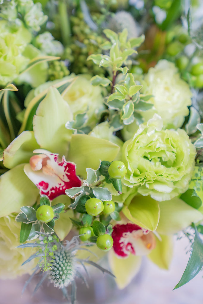 closeup of orchids and hypericum berries in an all green floral arrangement.