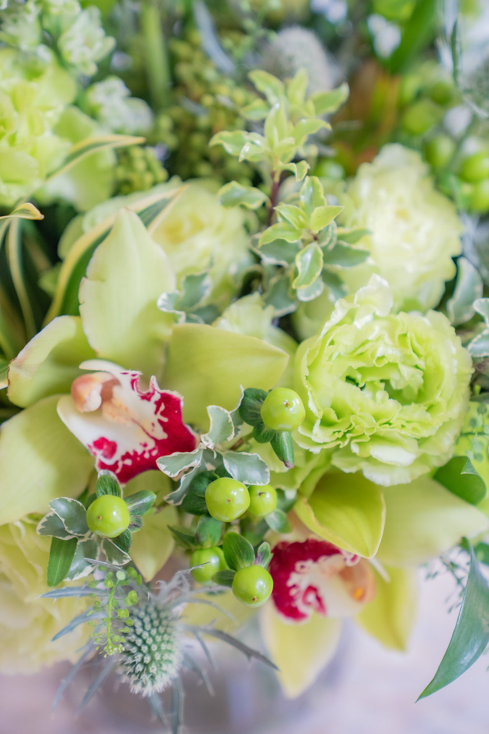 closeup of orchids and hypericum berries in an all green floral arrangement.