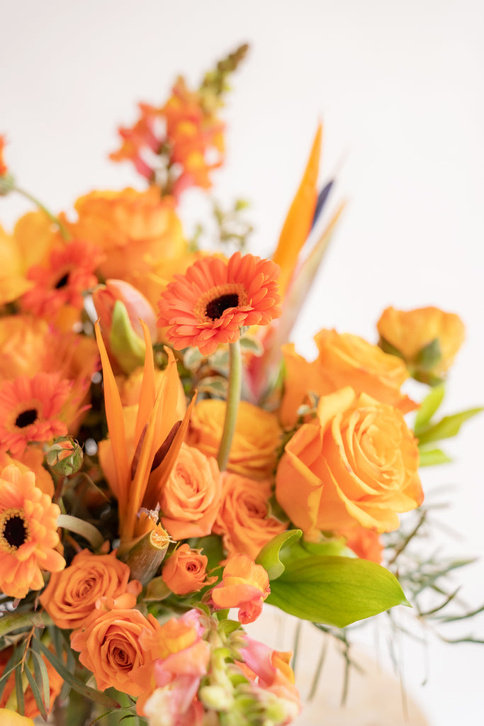 closeup of a piccolini daisy in an all orange flower arrangement