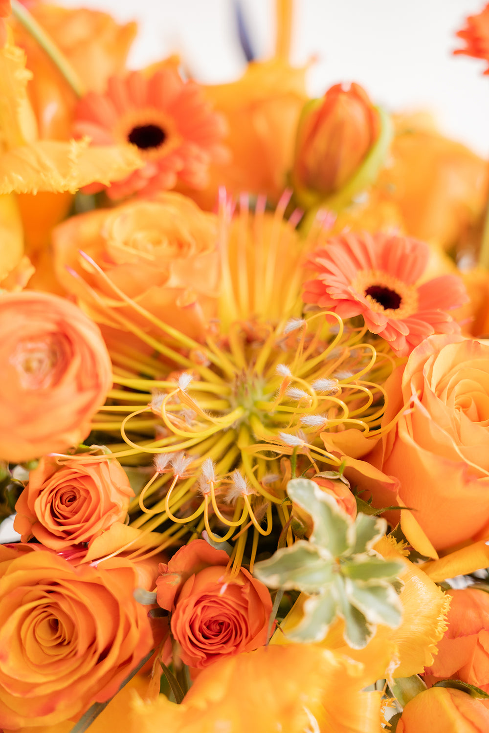 closeup of a pincushion protea in an all orange flower arrangement.