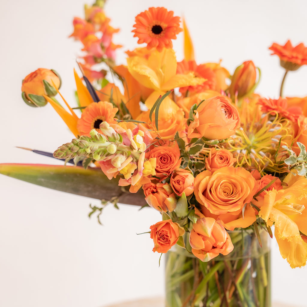 close up of A flower arrangement in a glass container in front of a white backdrop on a small table. It's filled with orange and tangerine-colored flowers, including rose, snapdragon, piccolini daisy, bird of paradise, tulips, and pincushion protea.