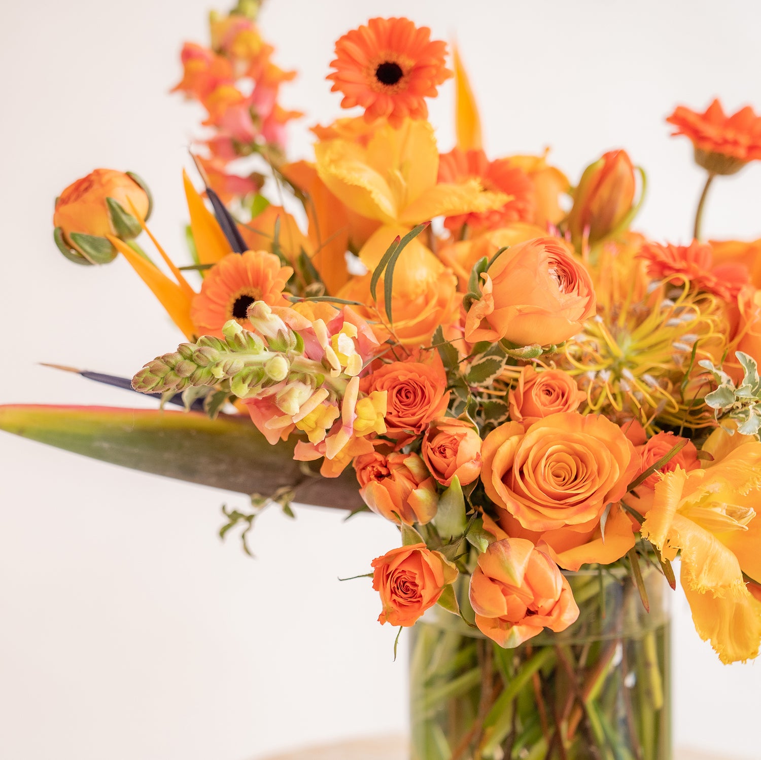 close up of A flower arrangement in a glass container in front of a white backdrop on a small table. It's filled with orange and tangerine-colored flowers, including rose, snapdragon, piccolini daisy, bird of paradise, tulips, and pincushion protea.