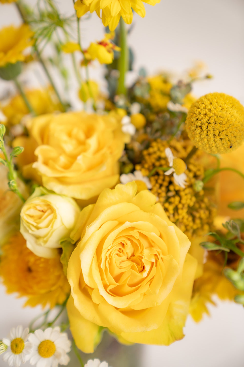 closeup of yellow flowers, including rose, billy balls, chamomile, yarrow, straw flower, and oncidium orchid.