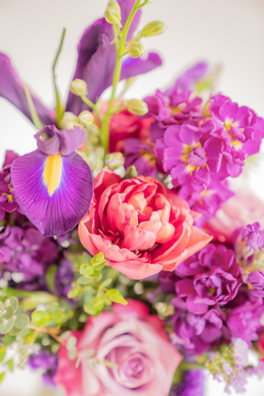 closeup of purple flowers, including rose, tulip, stock, and iris.