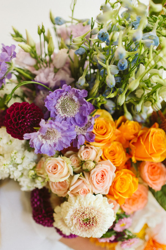 closeup of a bunch of colorful flowers