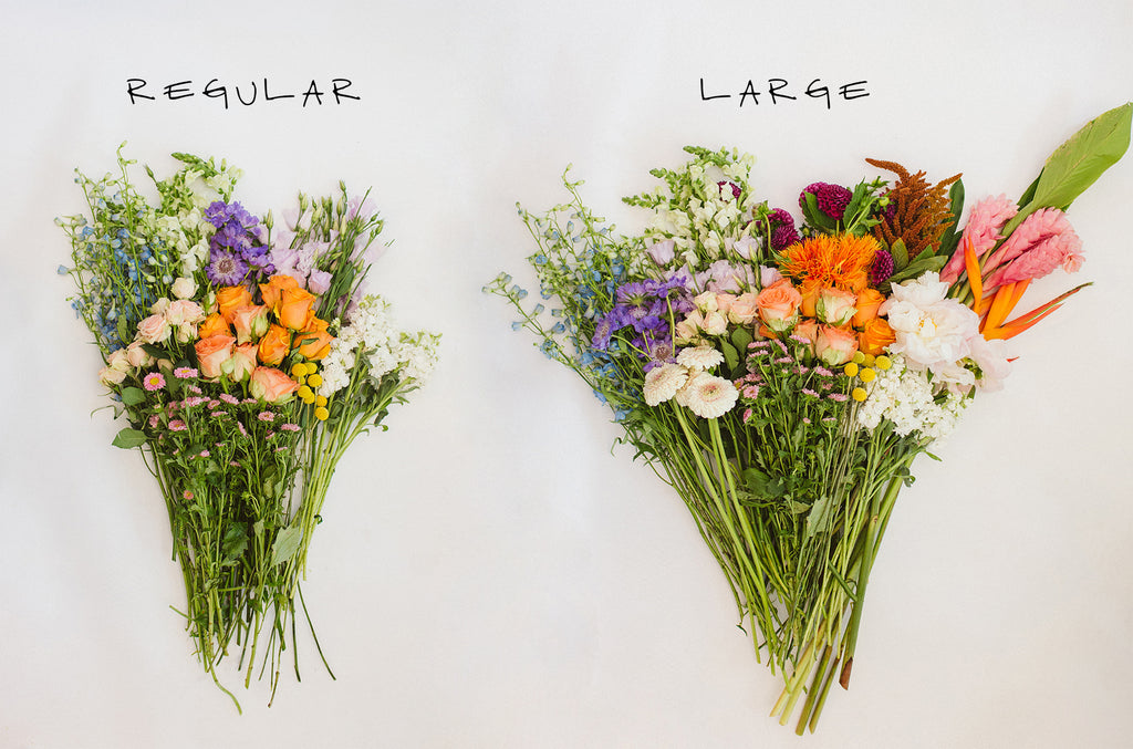 flat lay of flowers comparing different sized bundles the large bundle of multi-colored flowers on the right is roughly 2 times as much as the regular-sized bundle on the left.