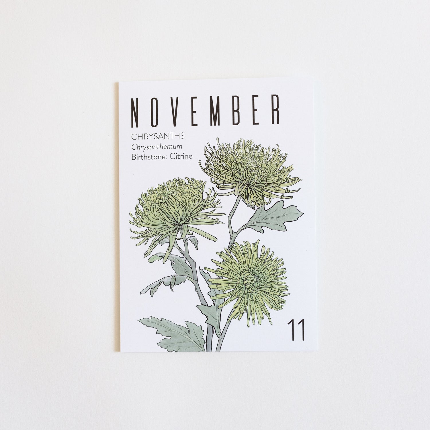 An November birth month card that has artwork of chrysanthemums on it and also lists the birth month gemstone.