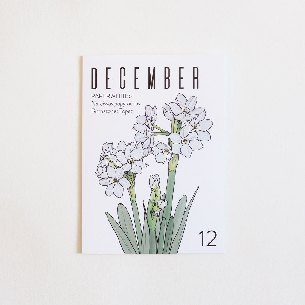 An December birth month card that has artwork of Paperwhite Narcissus Flowers on it and also lists the birth month gemstone.