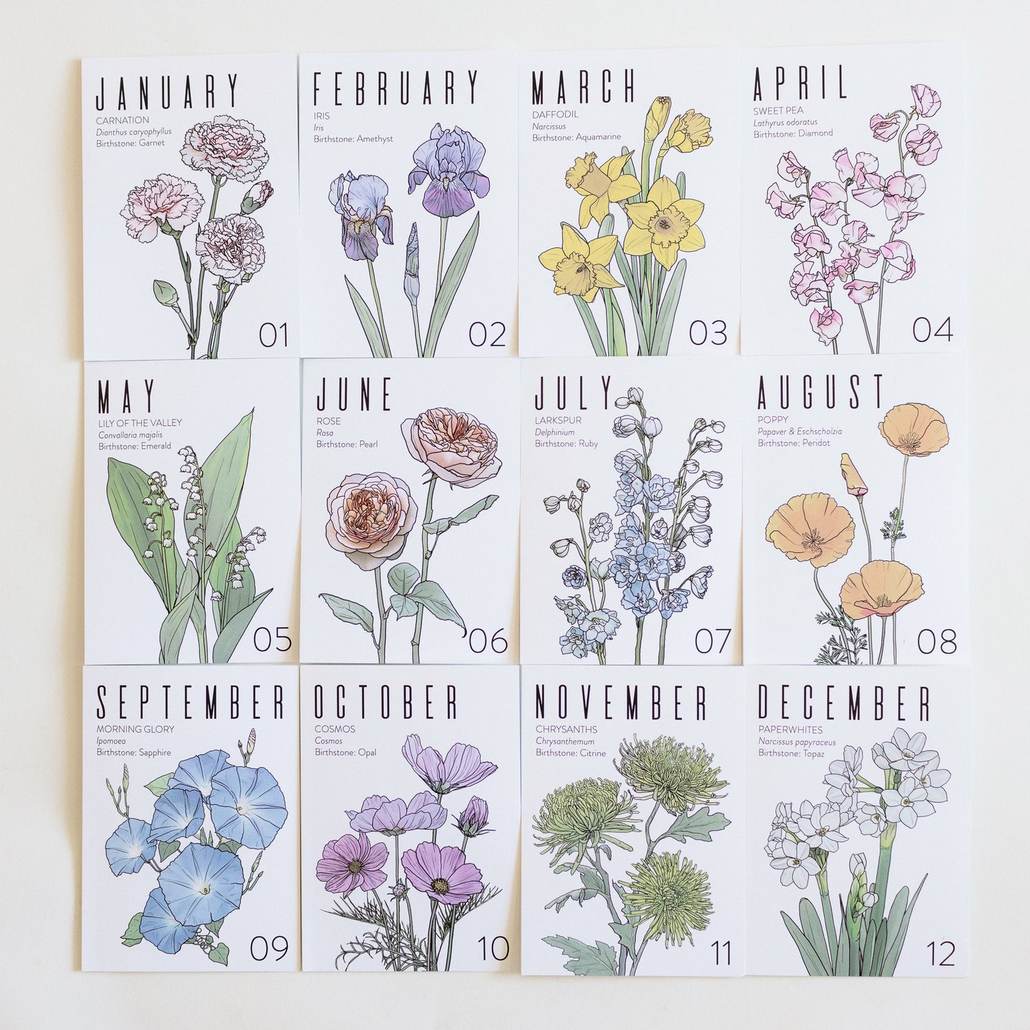 A flat lay of greeting cards - one for every month with artwork of each month's birth flower.