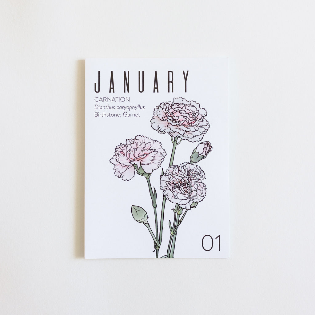 A January birth month card that has artwork of carnations on it and also list the birth month gemstone.