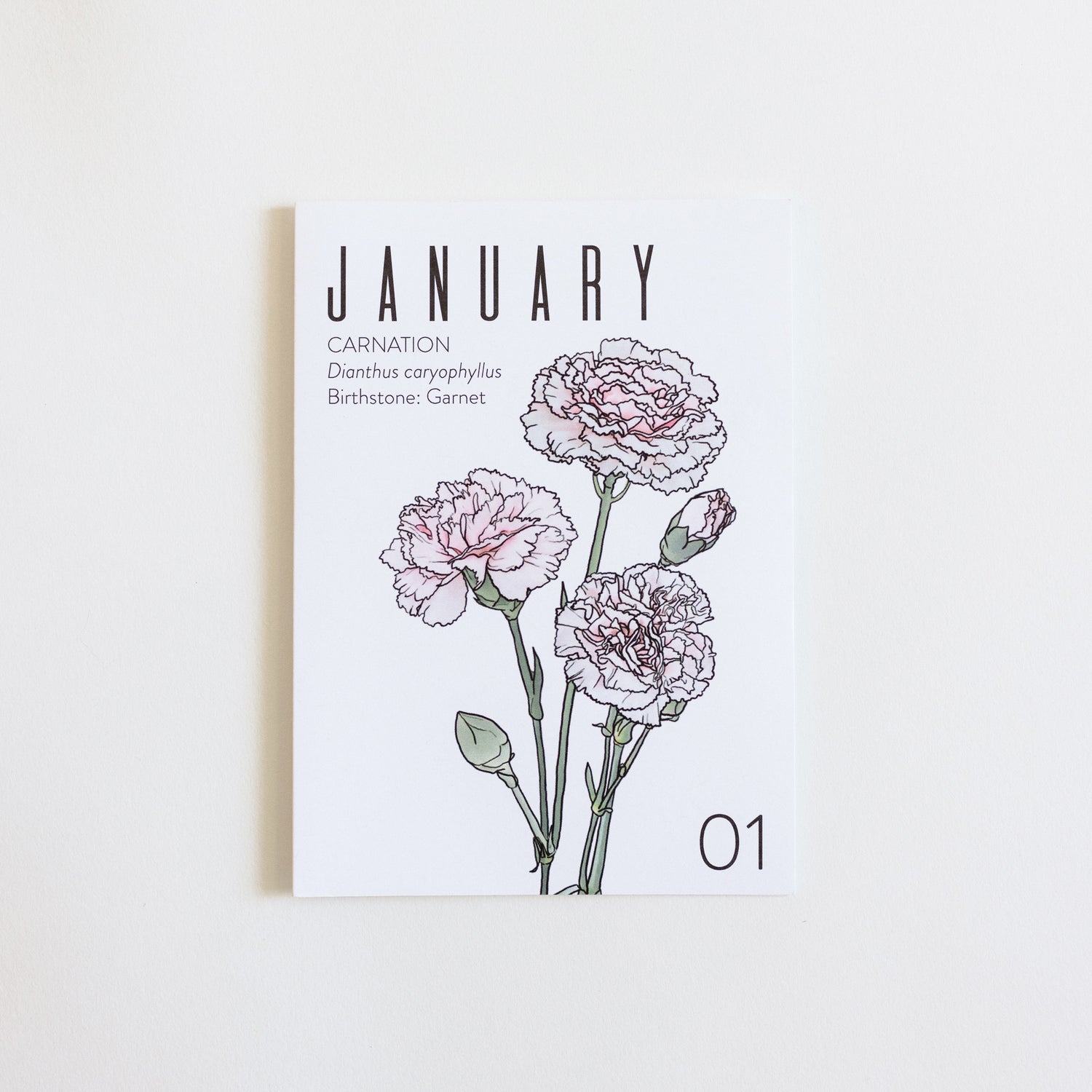 A January birth month card that has artwork of carnations on it and also list the birth month gemstone.