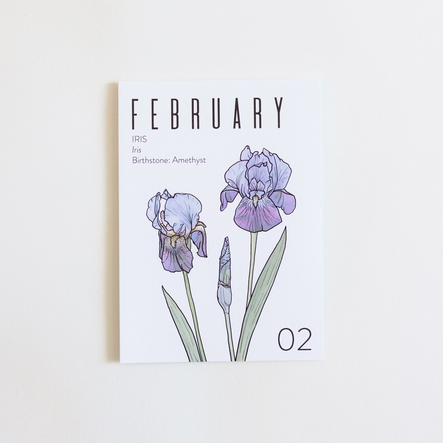 A February birth month card that has artwork of iris on it and also lists the birth month gemstone.