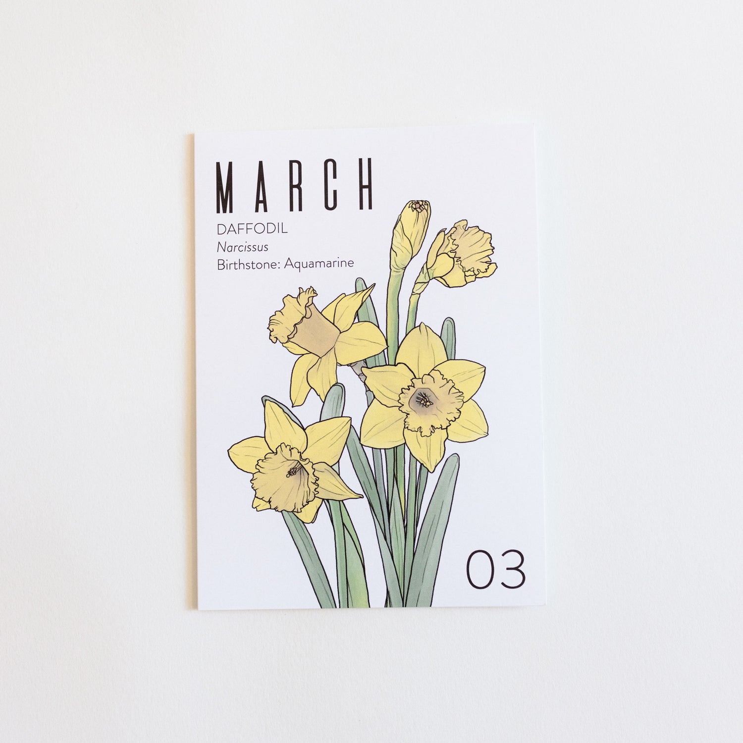 A March birth month card that has artwork of daffodils on it and also lists the birth month gemstone.