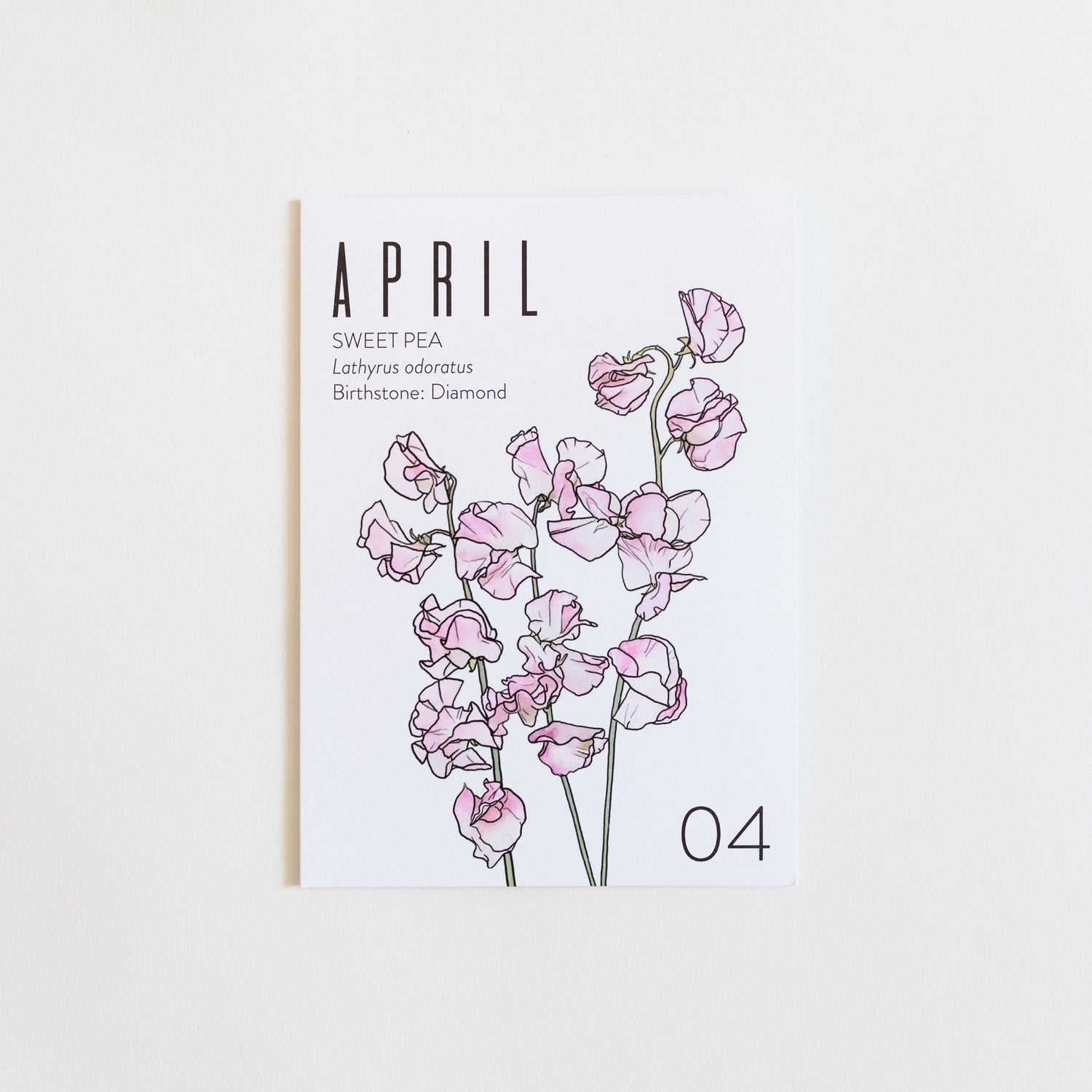 An April birth month card that has artwork of sweet peas on it and also lists the birth month gemstone.