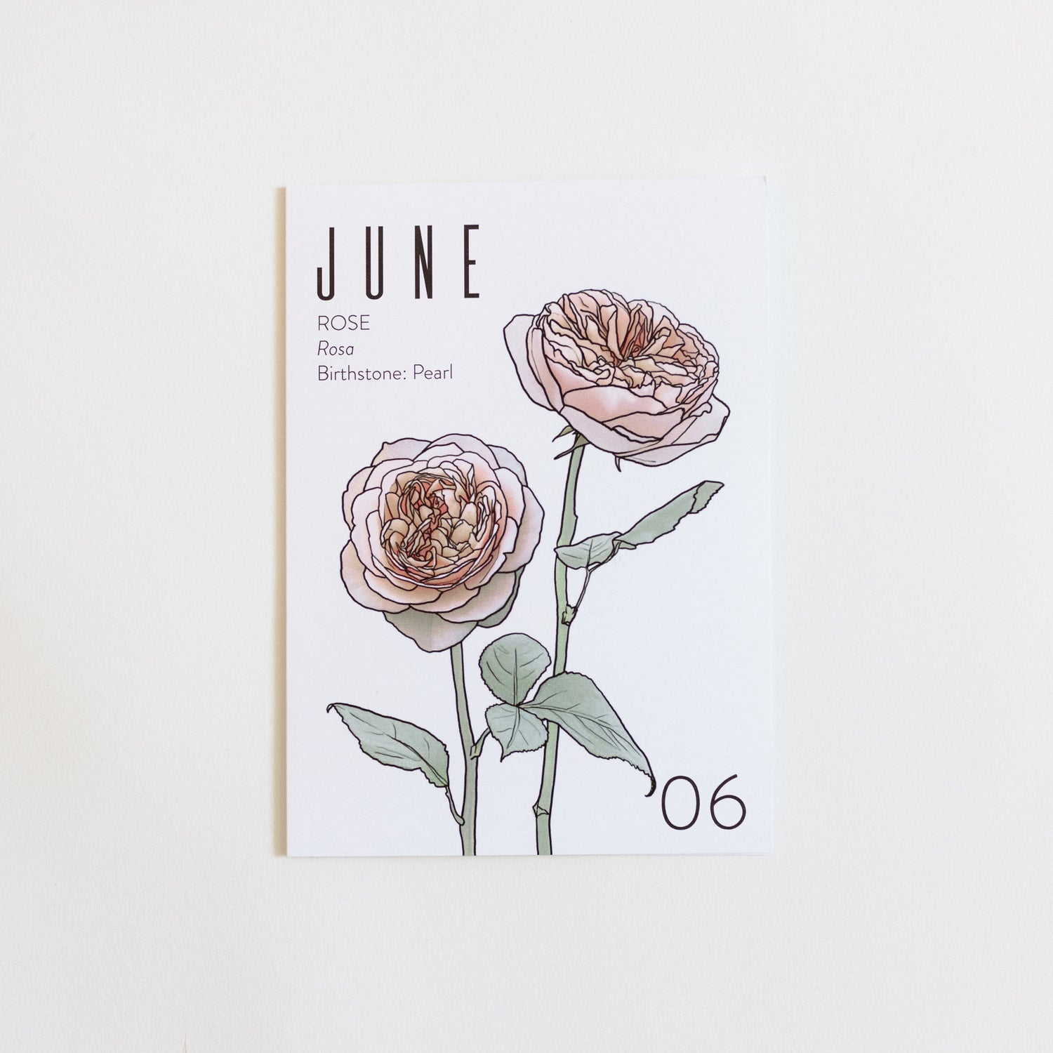 An June birth month card that has artwork of garden roses on it and also lists the birth month gemstone.