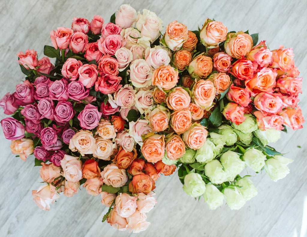 Featured Flower Friday: ROSES!