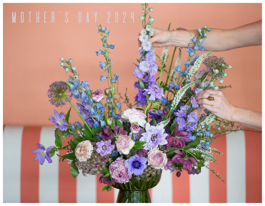 To The Ones Who Made Us Bloom: Mother's Day 2025 Color Palettes
