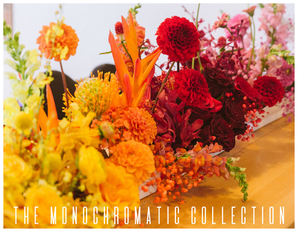 The Monochromatic Collection is Here!
