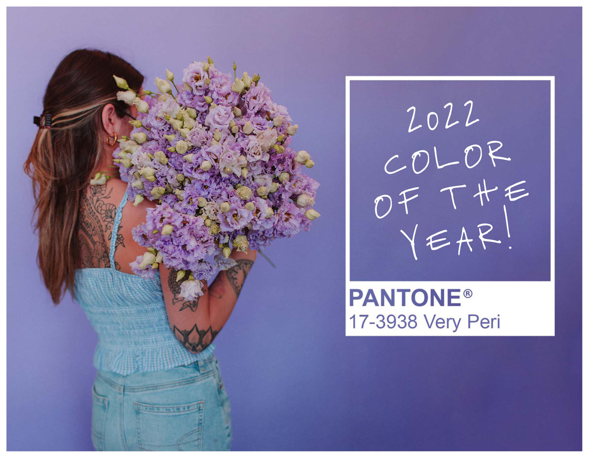 Shoutout to Pantone's Color of the Year - Very Peri!