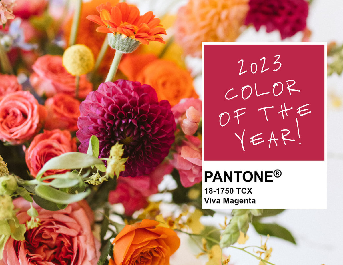 Shoutout to Pantone's 2023 Color of the Year - Viva Magenta