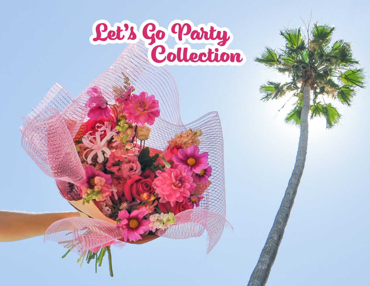 For a VERY Limited Time: The Let's Go Party Collection
