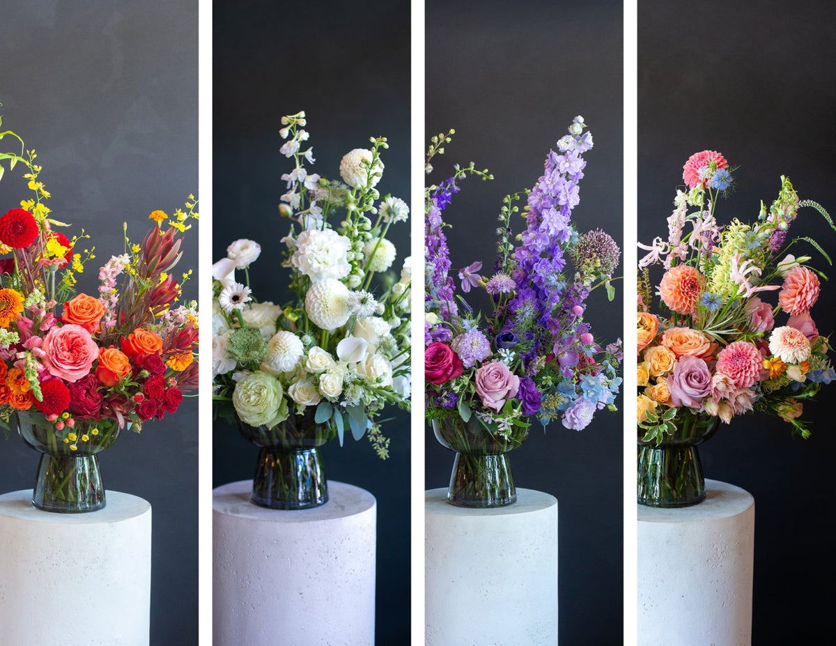 Same, But Different: A Tale of 4 Color Palettes