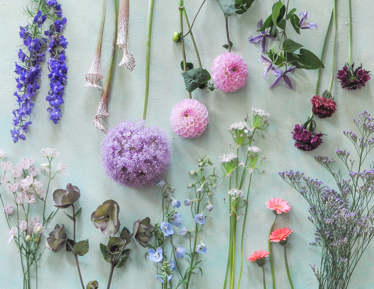 What's in the Flower Cooler: June