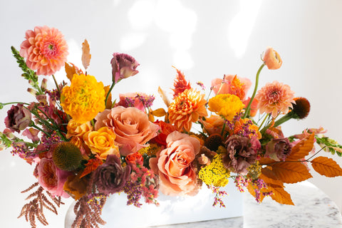 Gather in Color: Thanksgiving 2025