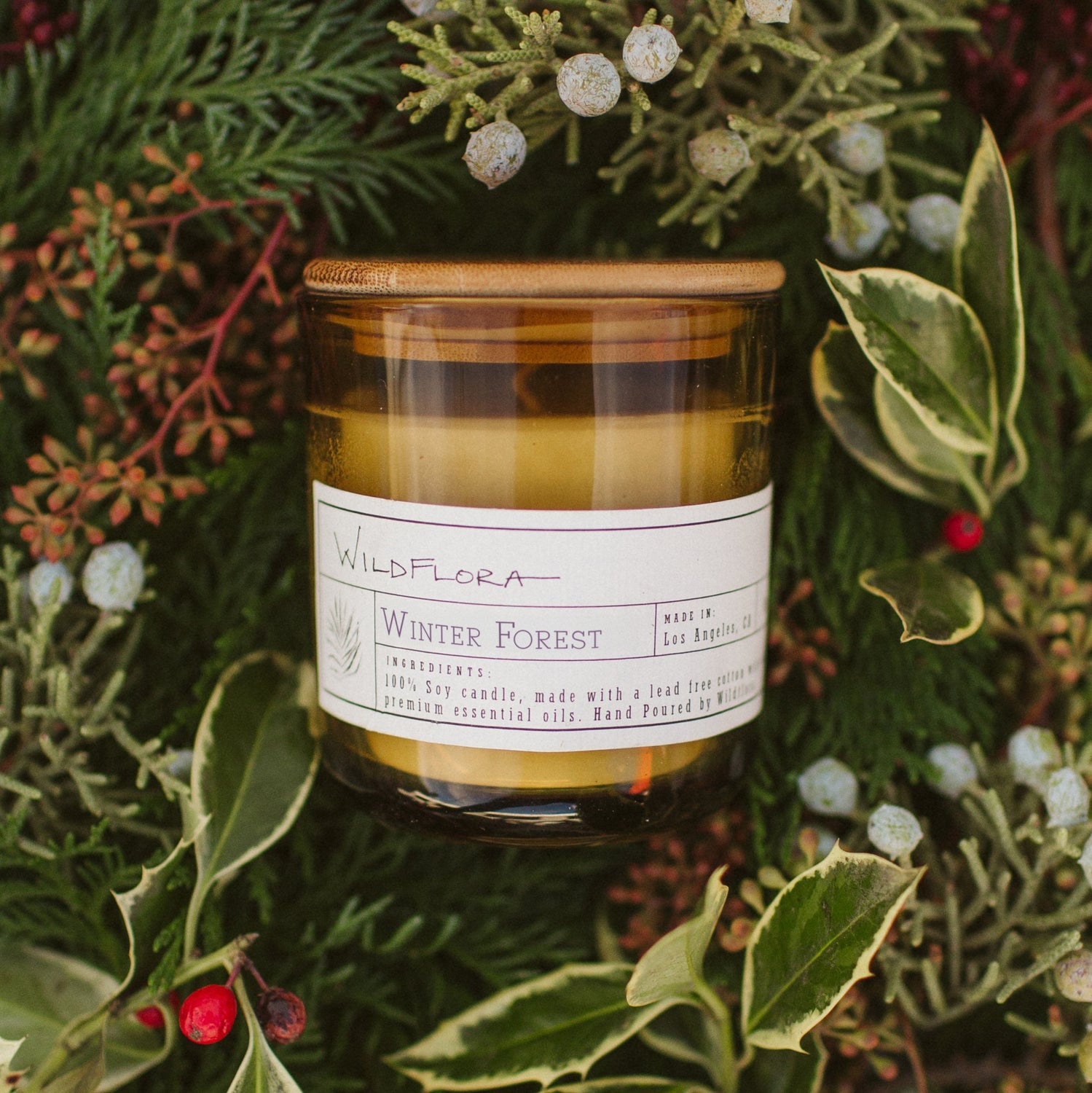 The WildFlora Winter Forest candle on a bed of evergreens