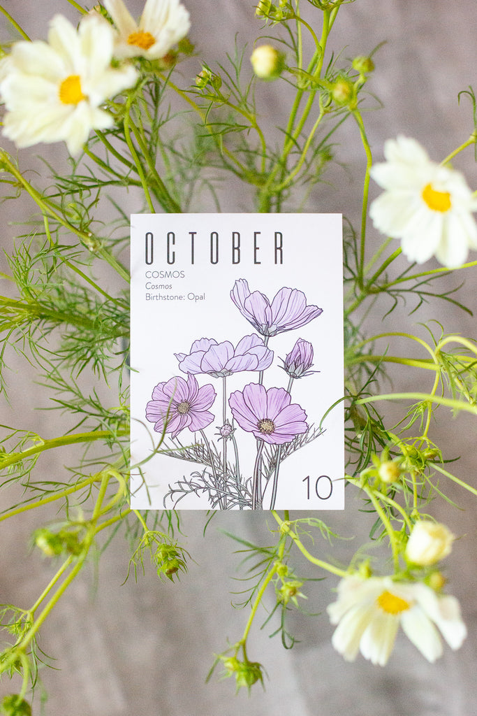 Floral-themed card for October on a white background with cosmos flowers in the background.