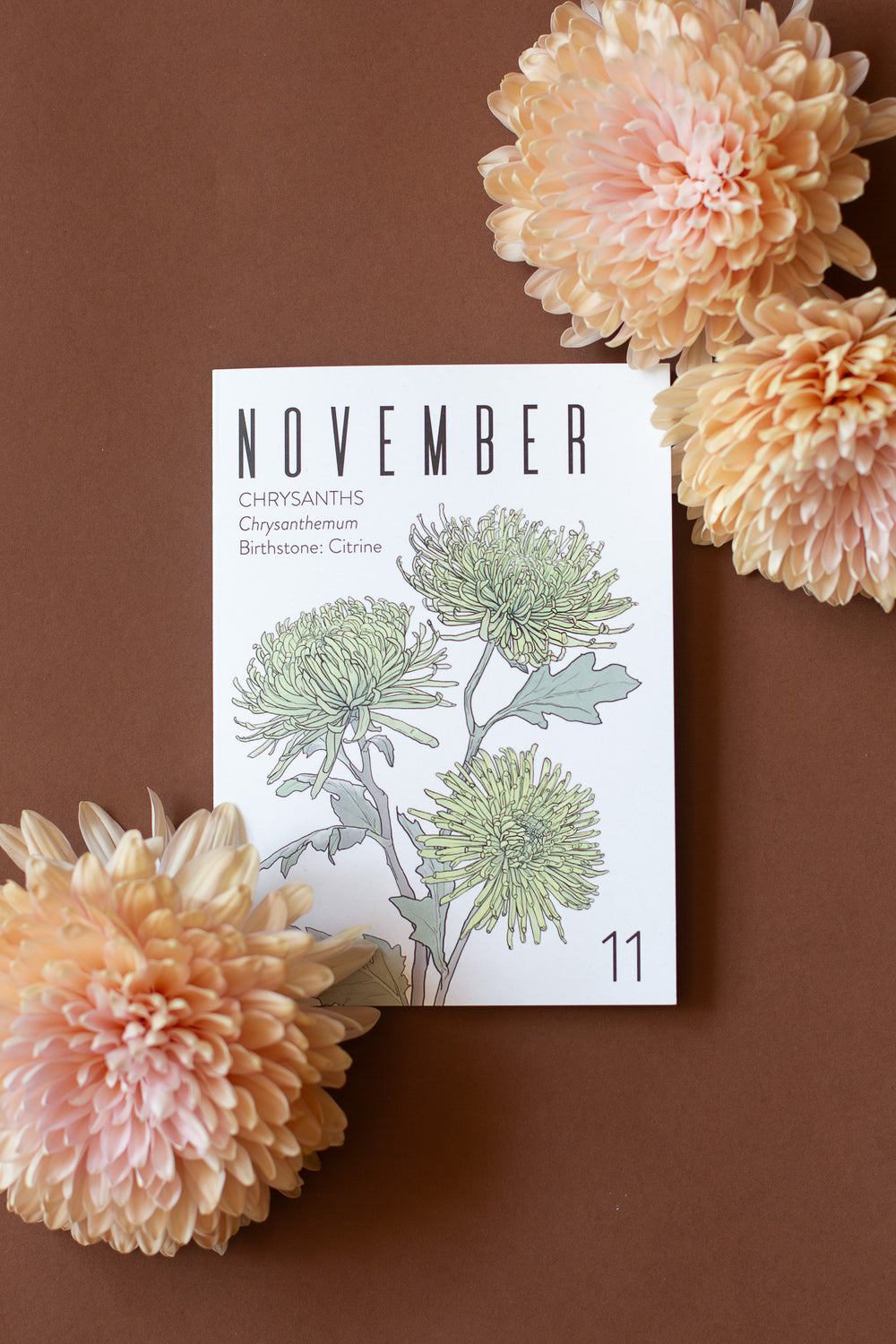 Greeting Card: November Birth Month Flower